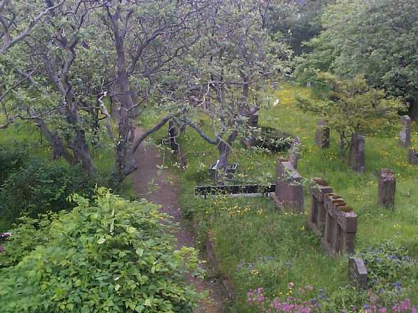 Billede af den gamle kirkegård i Tórshavn